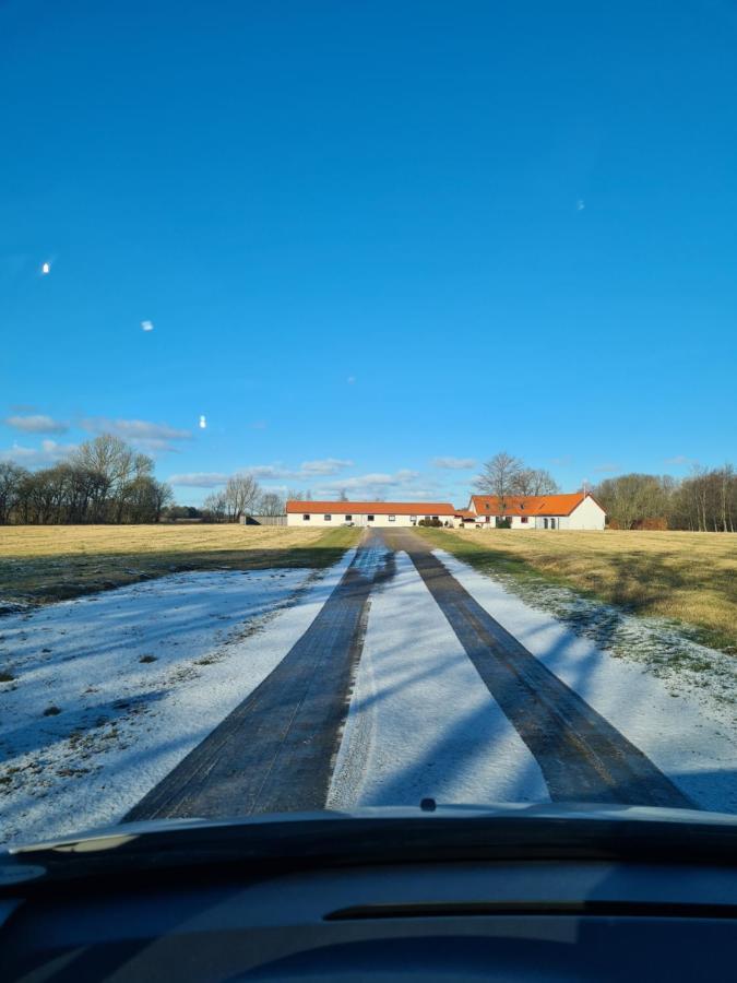 Lovely Room, Easy Access To E45 Highway Rask Molle Zewnętrze zdjęcie