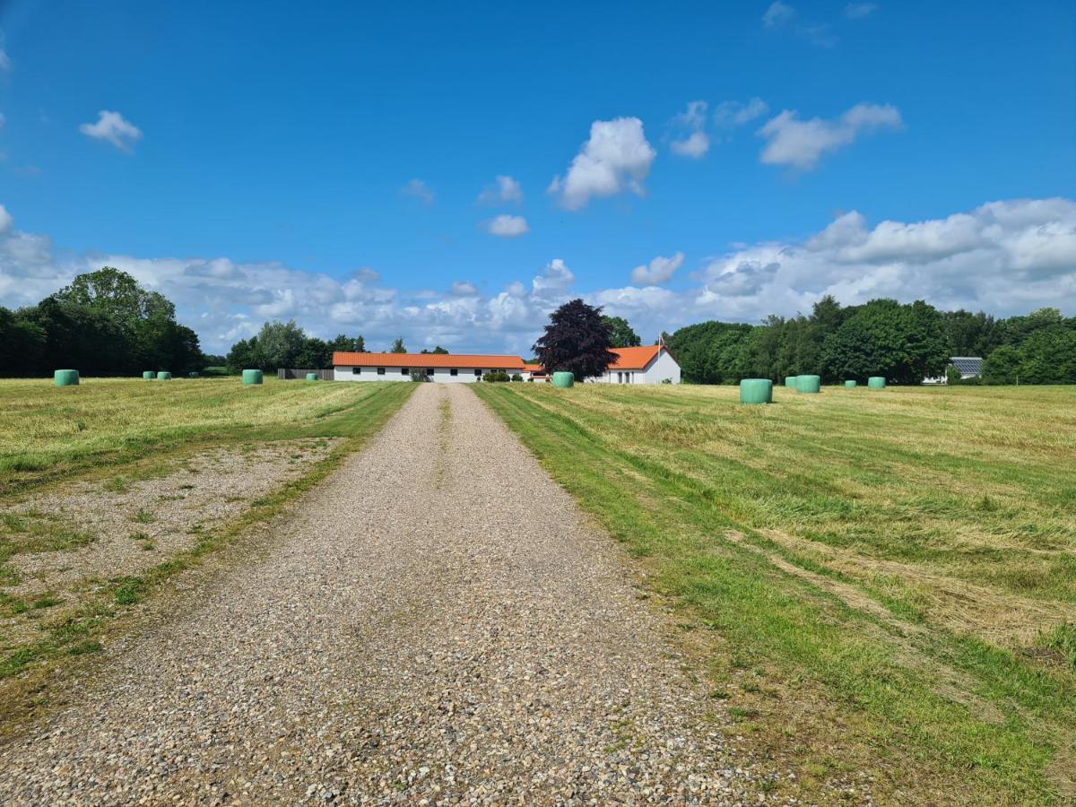 Lovely Room, Easy Access To E45 Highway Rask Molle Zewnętrze zdjęcie